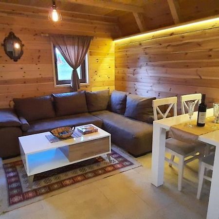Mountain House Bjanka Villa Žabljak Eksteriør bilde