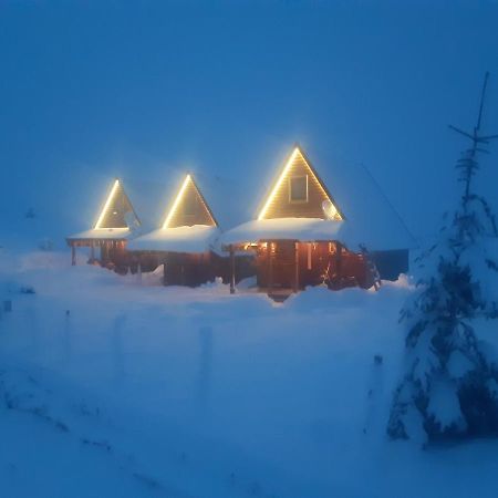 Mountain House Bjanka Villa Žabljak Eksteriør bilde